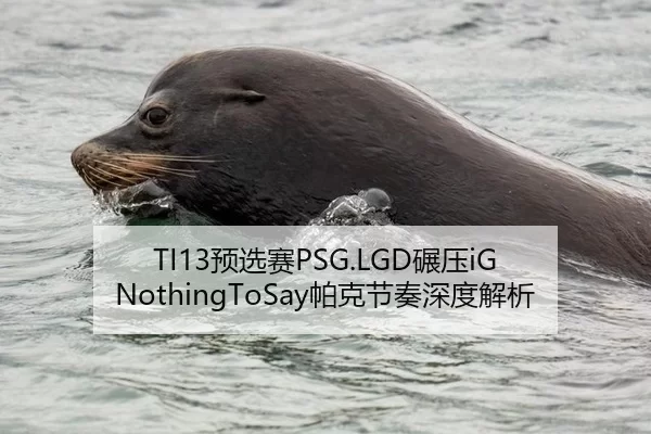 TI13预选赛PSG.LGD碾压iG NothingToSay帕克节奏深度解析
