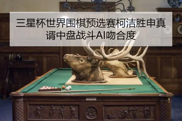 san-xing-bei-shi-jie-wei-qi-yu-xuan-sai-ke-jie-sheng-shen-zhen-xu-zhong-pan-zhan-dou-wen-he-du-3-418.jpg
